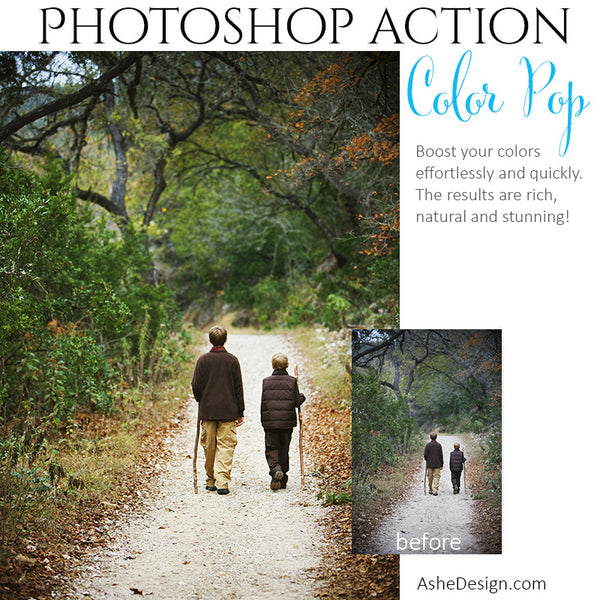 Photoshop Action | Pure Palette - Color Pop2