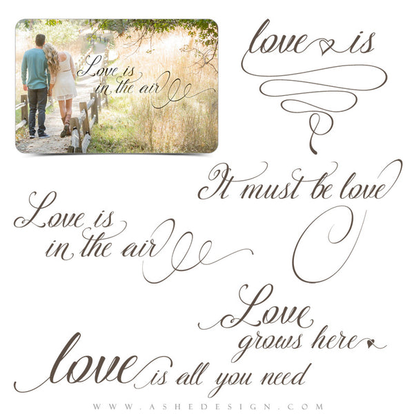 Ashe Design | Word Art Overlays | Love Is