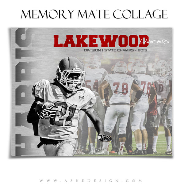 Ashe Design | 8x10 Horizontal Memory Mate | Photoshop Templates