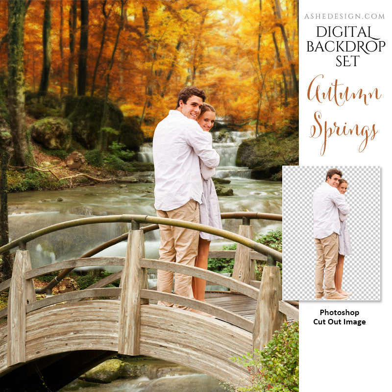 Ashe Design | Photoshop Template | Digital Backdrop Set | 11x14 | Autumn Springs