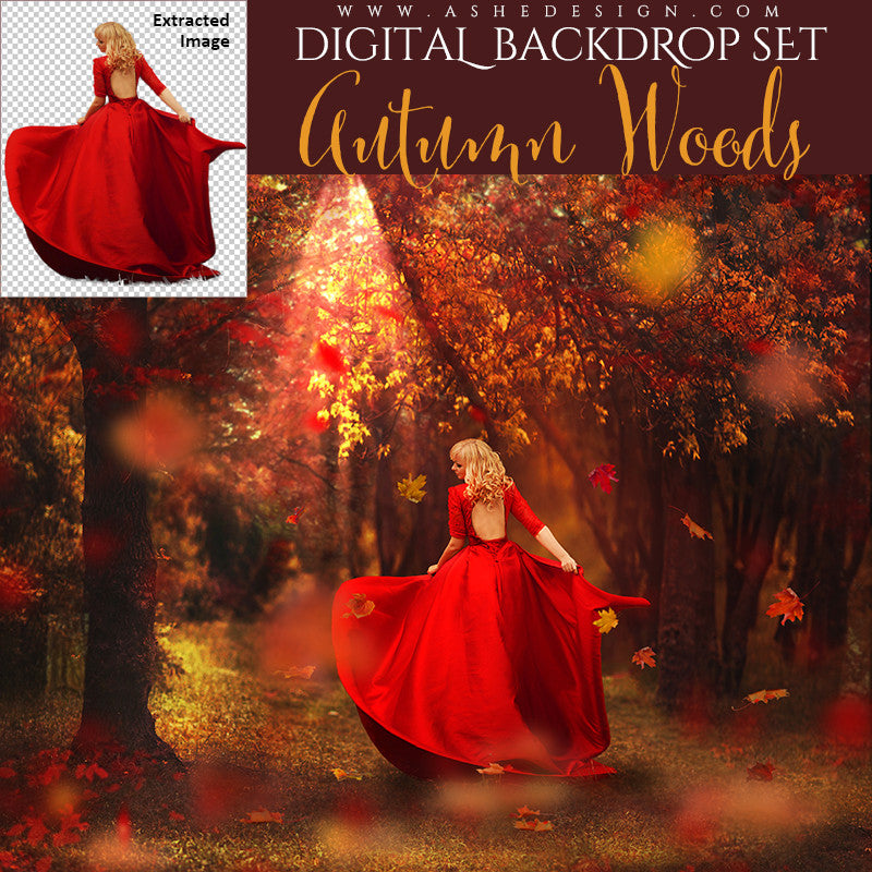 Ashe Design | Photoshop Template | 16x20 Digital Backdrop | Autumn Woods