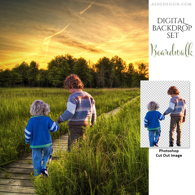 Ashe Design | Photoshop Template | Digital Backdrop Set | 11x14 | Boardwalk