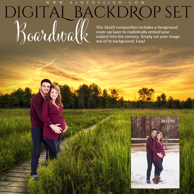Ashe Design | Digital Backdrop Set | Boardwalk