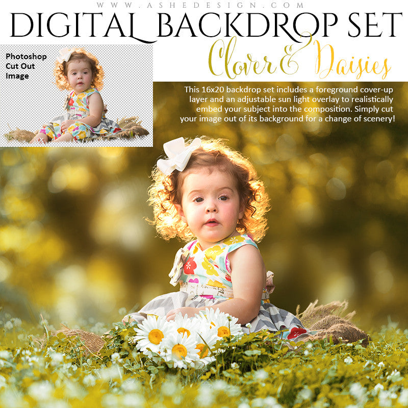 Ashe Design | Digital Backdrops | Clover & Daisies