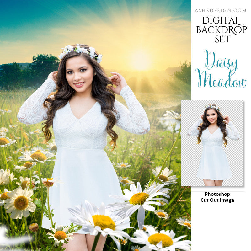 Ashe Design | Photoshop Template | Digital Backdrop Set | 11x14 | Daisy Meadow