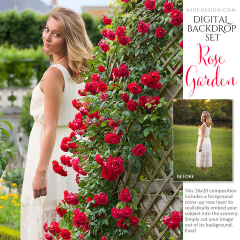 Ashe Design | Digital Backdrop Set | Rose Garden