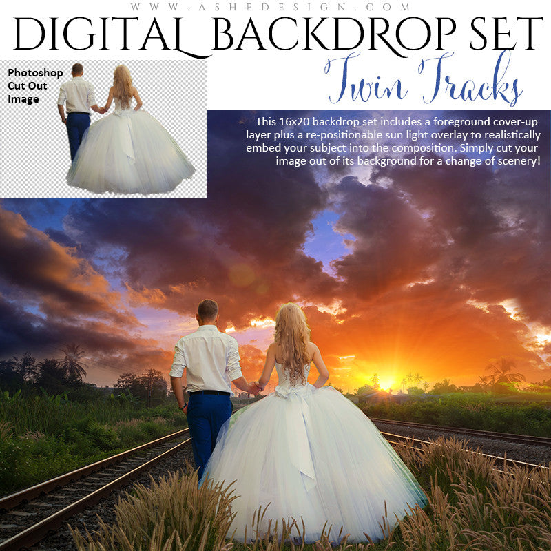 Ashe Design | Digital Backdrop Set | Twin Train Tracks