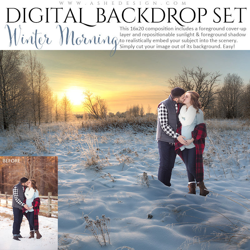 Ashe Design | Digital Backdrop Set | Winter Morning