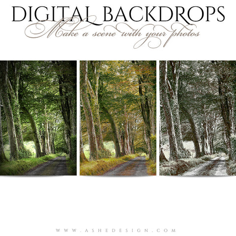Ashe Design | Digital Backdrops | Wooded Lane full set