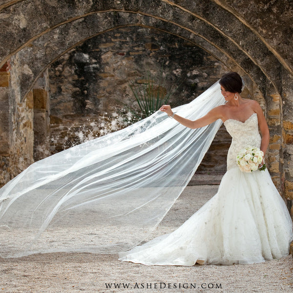 Ashe Design | Photoshop Brush Set | Sparkle Spray wedding