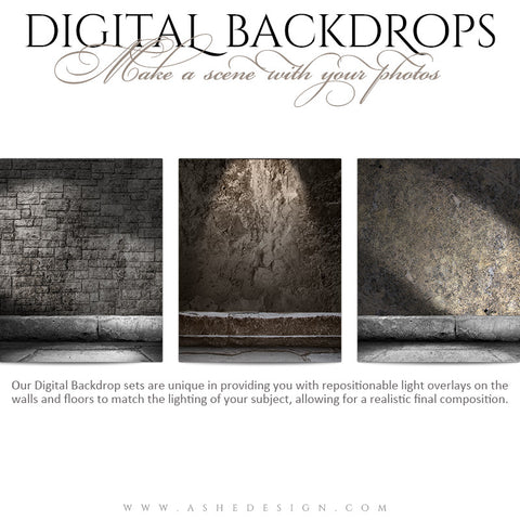 Digital Props 16x20 Backdrops | Brick And Rock full set