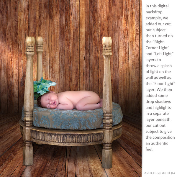 Digital Props 16x20 Backdrops | Wooden ex2