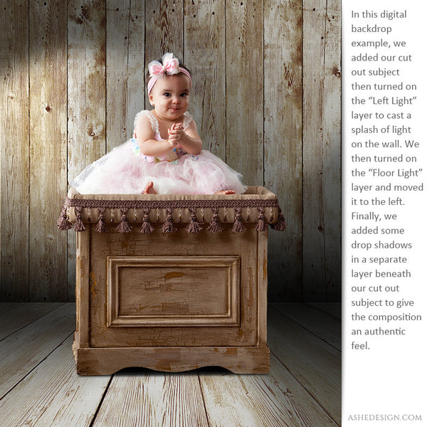 Digital Props 16x20 Backdrops | Wooden ex3