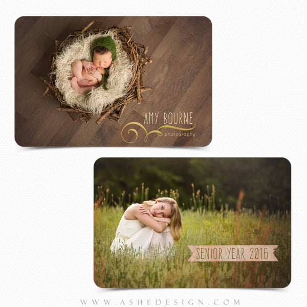 Designer Gems Photo Overlays | Watercolor Ribbons & Swirls 1