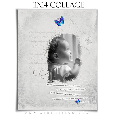 Subtle Focus Blossom 11x14 Collage web display