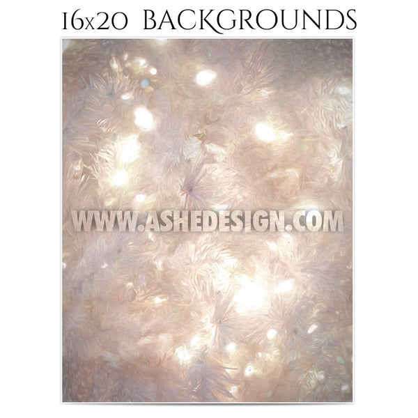 Holiday Photography Background Set | White Christmas1