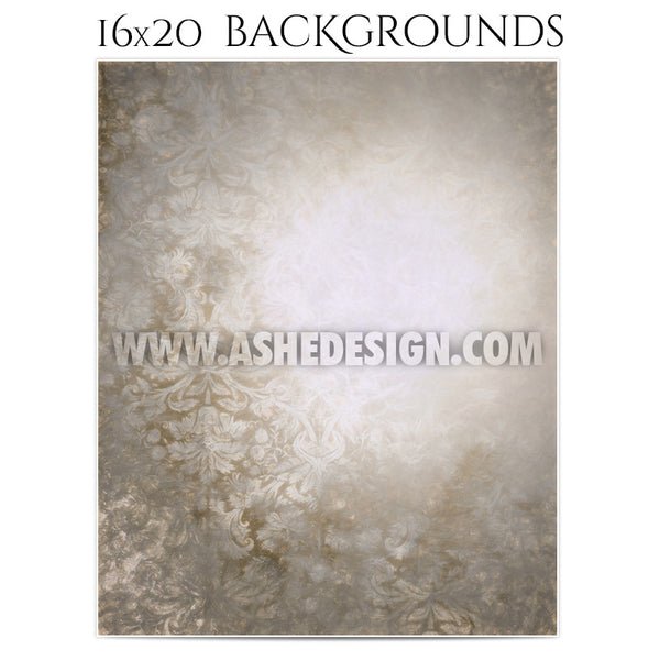 Backgrounds 16x20 | Damask Pastels 4