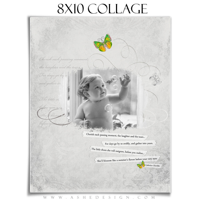 Subtle Focus - Blossom 8x10 Collage web display