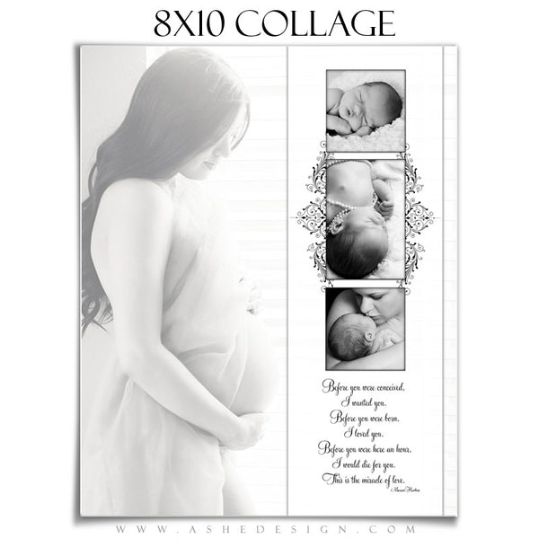 Simply Classic Collage 8x10 web display