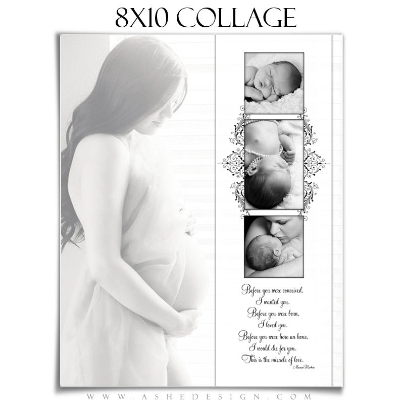Ashe Design | Simply Classic 8x10 Photography Template
