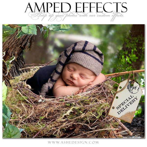 Ashe Design | Amped Effects Photography Templates | Special Delivery