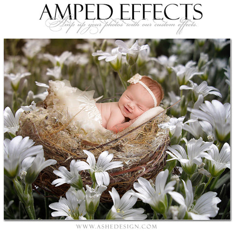 Ashe Design | Amped Effects Photography Templates - Field Of Dreams1