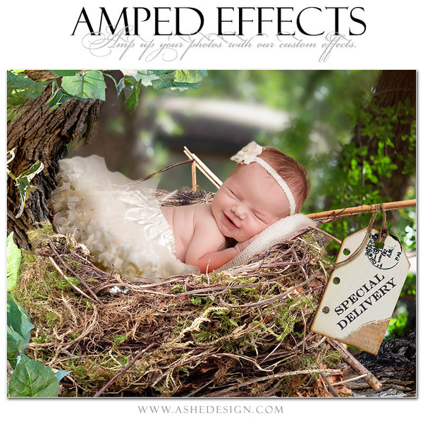 Ashe Design | Amped Effects Photography Templates | Special Delivery