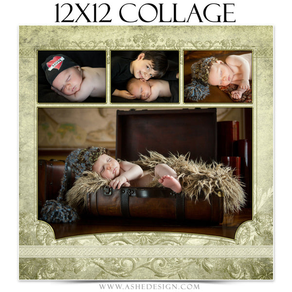 Collage Template 12x12 | Ivory Damask
