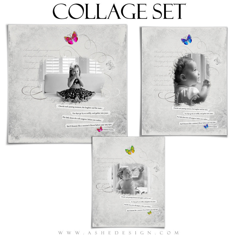 Subtle Focus - Blossom Collage Set full set web display