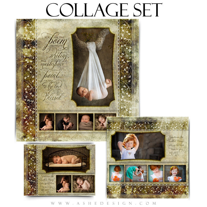 Ashe Design | Newborn Collage Templates (5x7, 8x8, 12x12)
