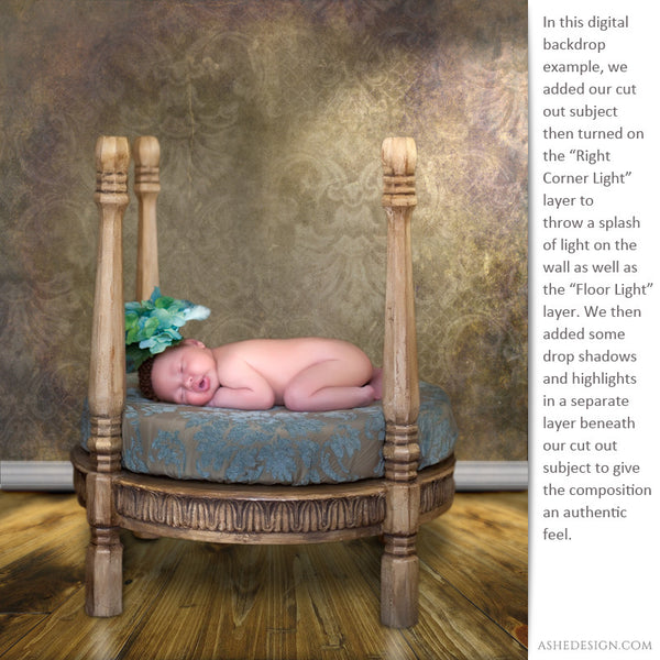 Digital Props Backdrops - Vienna example2 web display