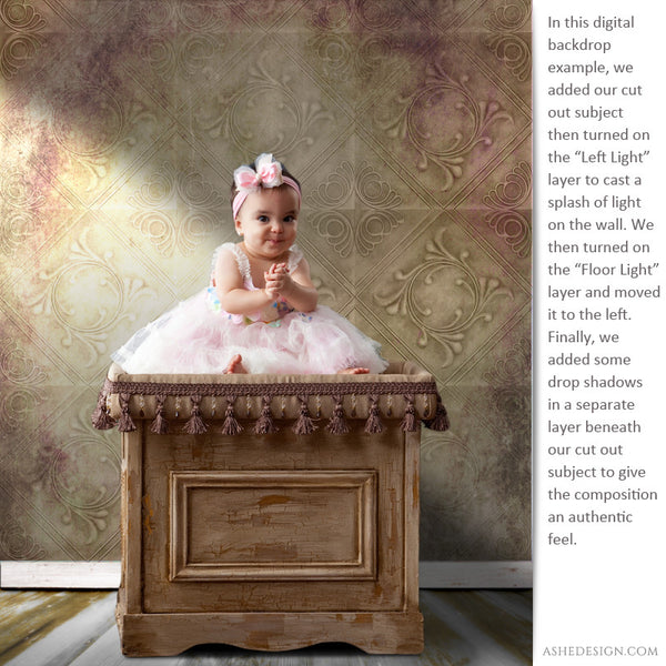 Digital Props - Backdrops - Savannah example 3 web display