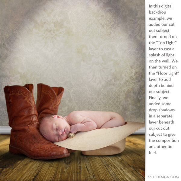 Digital Props Backdrops - Vienna example3 web display