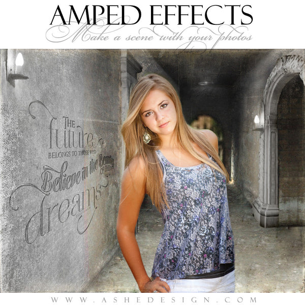 Ashe Design | Amped Effects Templates | Put It In Perspective example2 web display