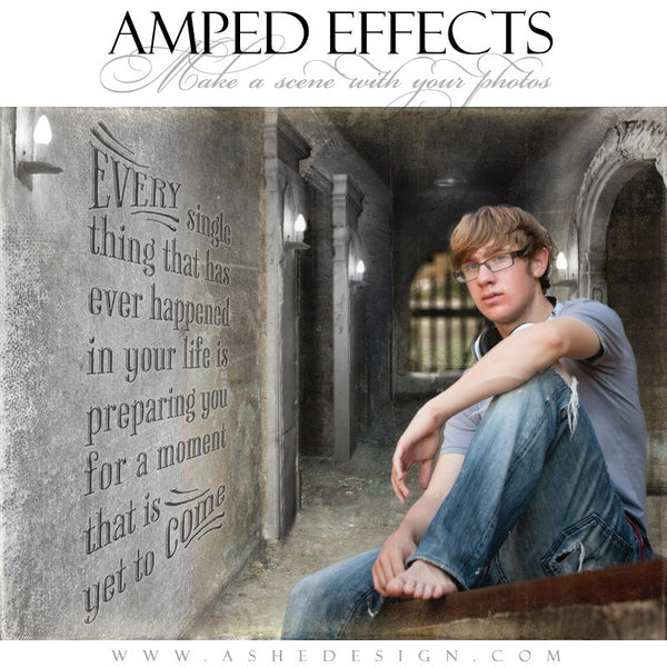 Ashe Design | Amped Effects Templates | Put It In Perspective example3 web display