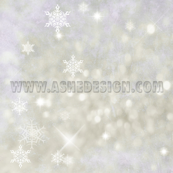Digital Papers | Winter Wonderland1