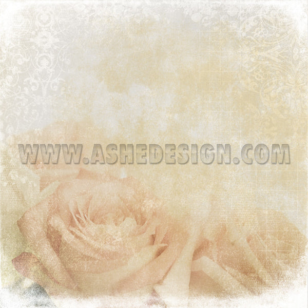 Ashe Design | 12x12 Digital Paper 5 | Soft Rose