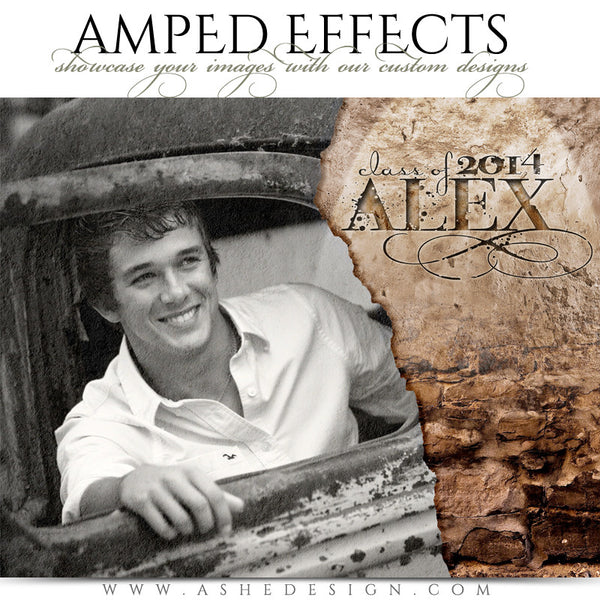 Ashe Design | Amped Effects Senior Templates | Stone Wall Senior Session Photography Template