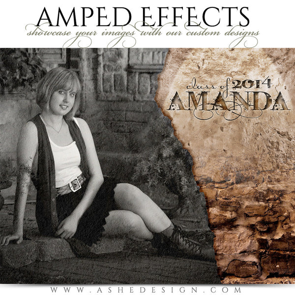 Ashe Design | Amped Effects Senior Templates | Stone WallSenior Session Photography Template