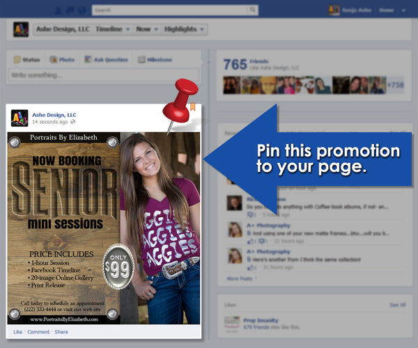 Ashe Design | Timeline Promotional Pin | Western Senior example