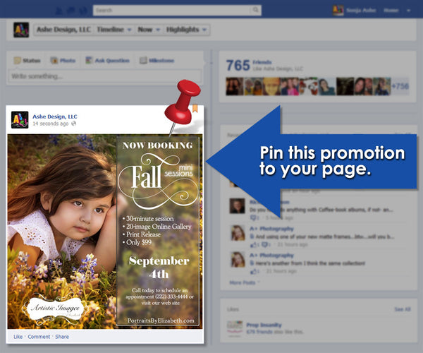 Timeline Promotional Pin | Fall Sessions example