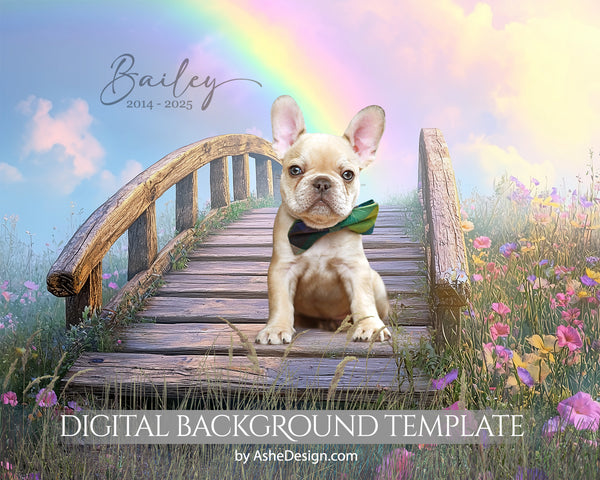 Digital Props 16x20 Backdrop Set - Rainbow Bridge Floral