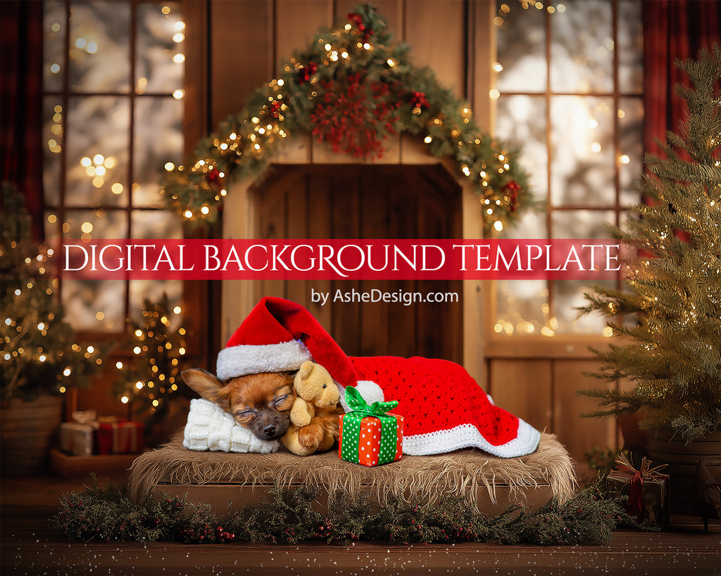 Digital Backdrop Set - Christmas Pet Manger