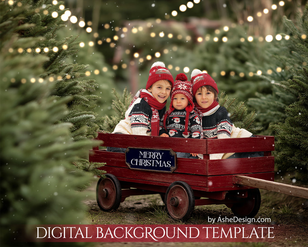 Digital Backdrop Set - Christmas Wagon