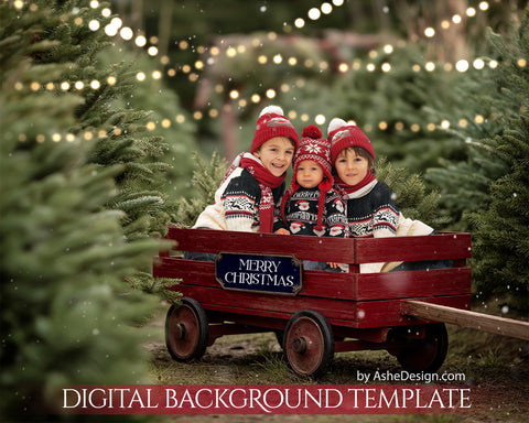 Digital Backdrop Set - Christmas Wagon