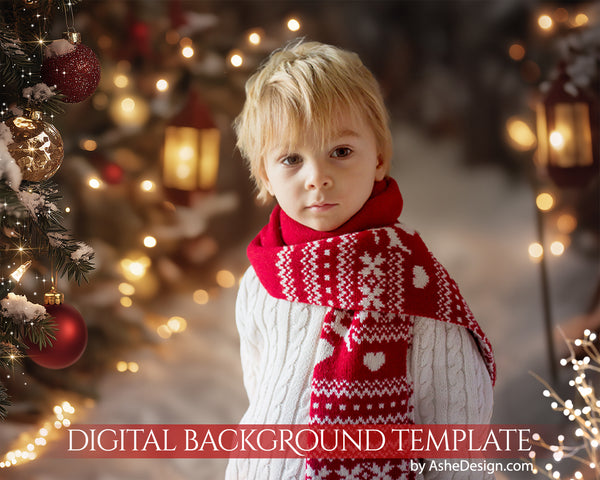 Digital Backdrop Set - Christmas Path