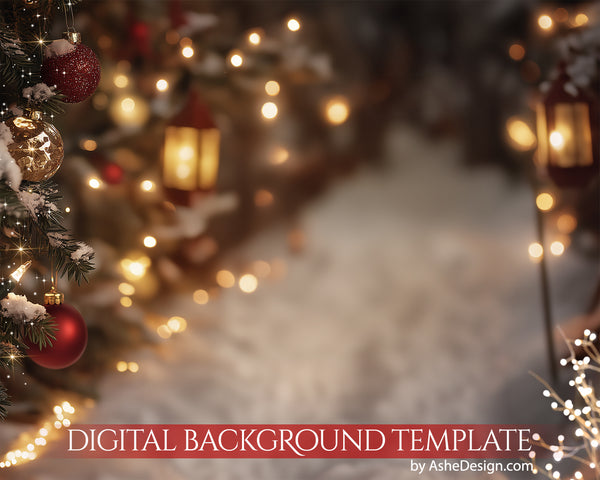 Digital Backdrop Set - Christmas Path