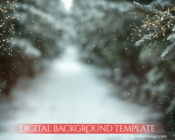 Digital Backdrop Set - Evergreen Walk