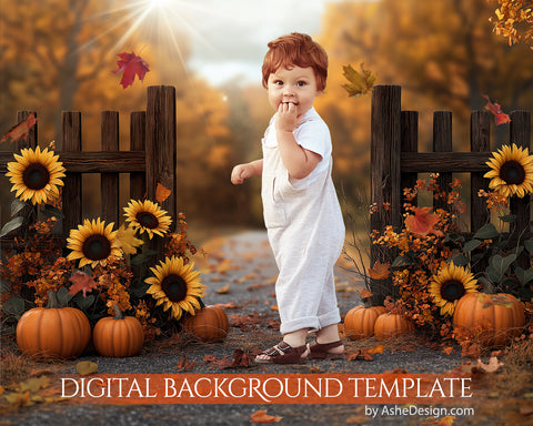 Digital Backdrop Set - Pumpkin Lane