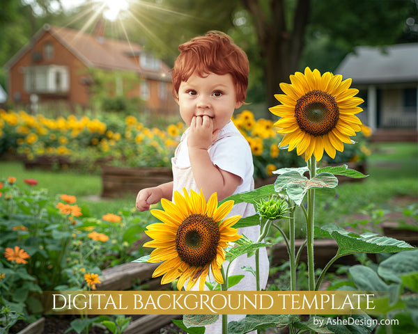 Digital Backdrop Set - Sunflower Garden